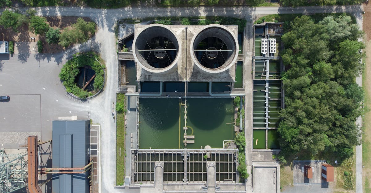 découvrez l'écologie urbaine, une discipline fascinante qui explore les interactions entre les écosystèmes et les environnements urbains. apprenez comment rendre nos villes plus durables et favoriser la biodiversité tout en améliorant la qualité de vie des citadins.