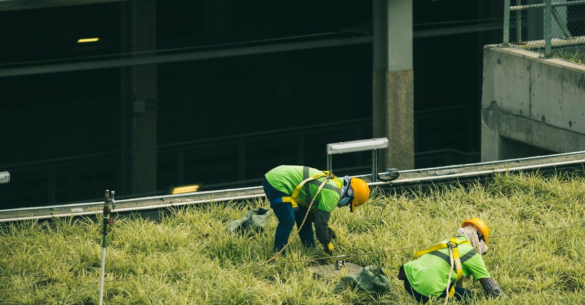 découvrez l'écologie urbaine, une discipline passionnante qui explore les interactions entre les organismes et leur environnement dans les villes. apprenez comment l'urbanisation influence la biodiversité, la gestion des ressources naturelles et le développement durable.