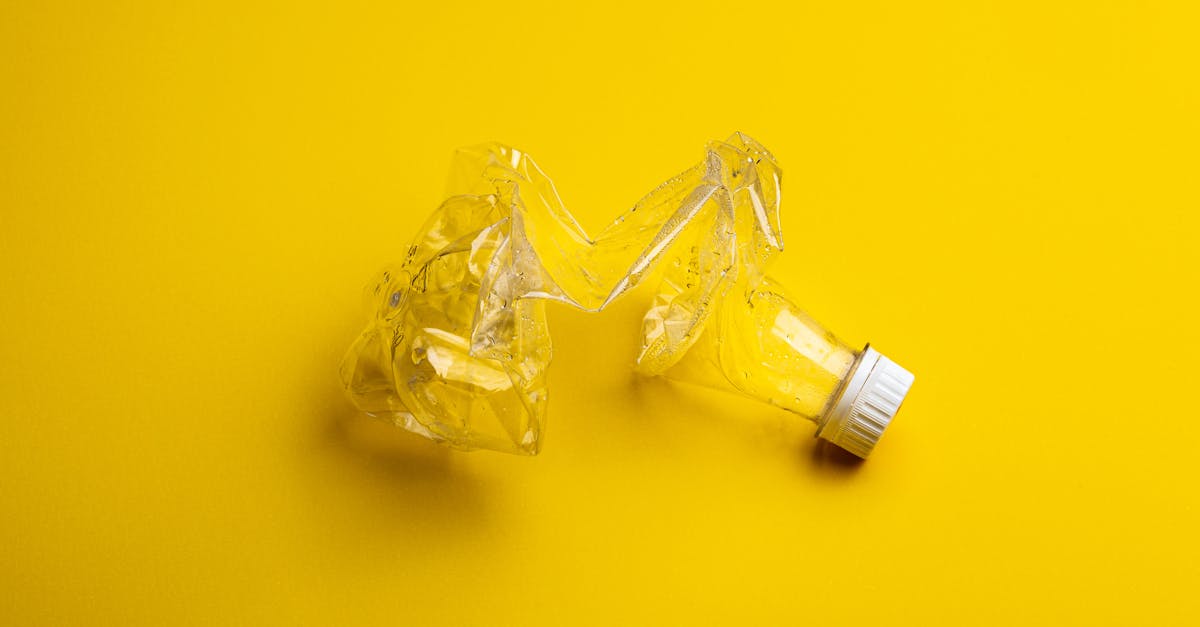 découvrez le mouvement zéro déchet : des conseils pratiques pour réduire votre impact sur l'environnement, des astuces pour des courses écoresponsables et des solutions durables pour un mode de vie sans déchets. engagez-vous pour la planète dès aujourd'hui !