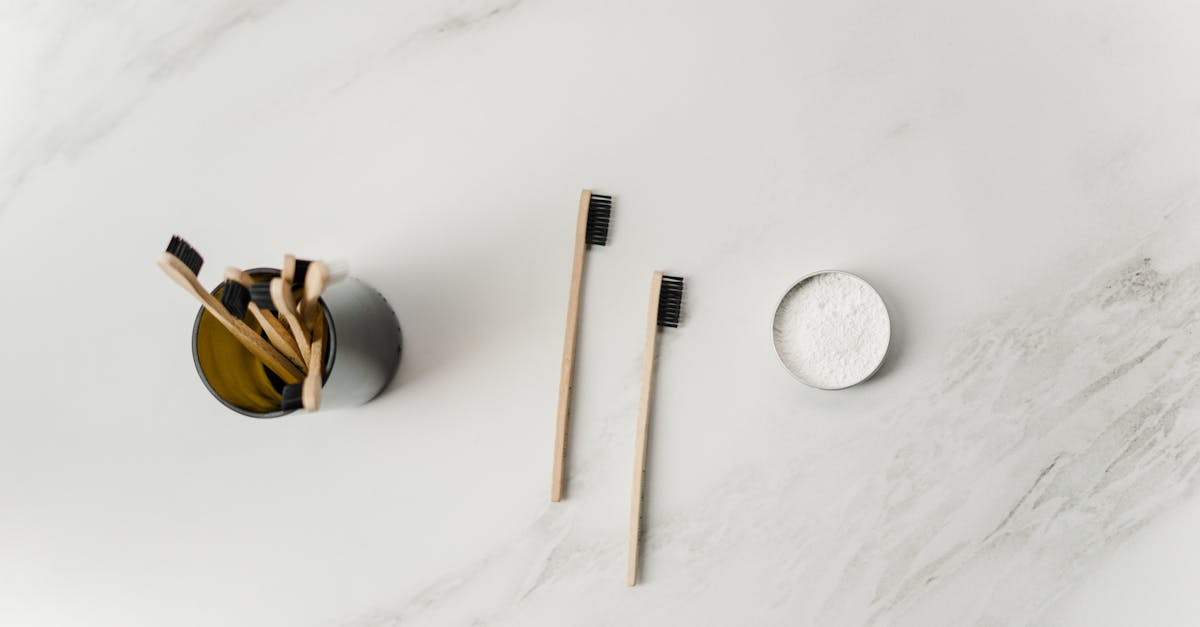 découvrez le mode de vie zero waste : des astuces pratiques pour réduire vos déchets au quotidien, adopter une consommation responsable et préserver notre planète. engagez-vous pour un futur durable tout en simplifiant votre quotidien.
