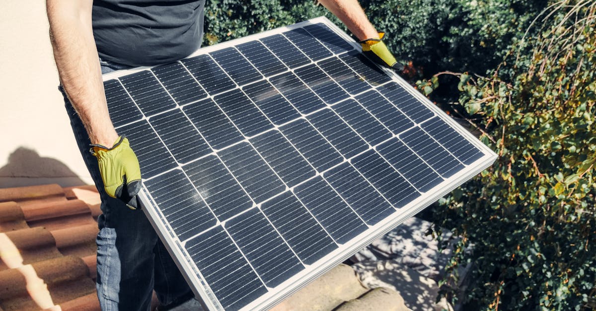 Génie écologique : Solutions innovantes pour la restauration des habitats naturels