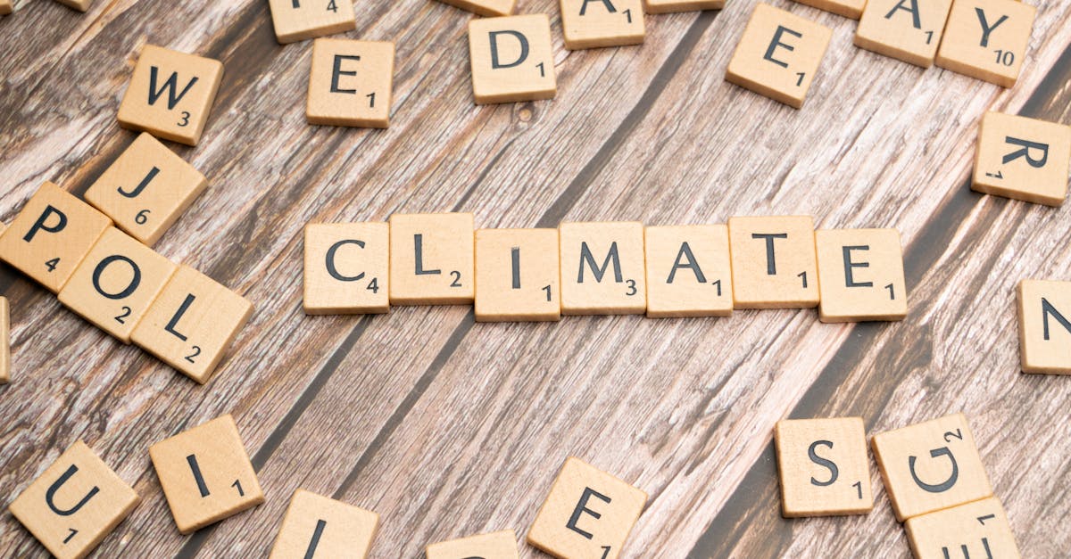 découvrez les techniques avancées de modélisation climatique qui aident à comprendre et prédire les changements environnementaux. explorez les outils et méthodes utilisés pour analyser les données climatiques et leur impact sur notre planète.