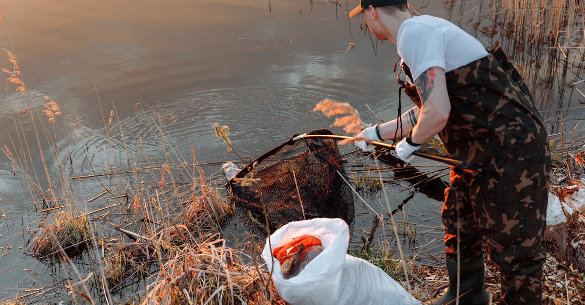 Reconstitution des habitats : enjeux et techniques pour la biodiversité