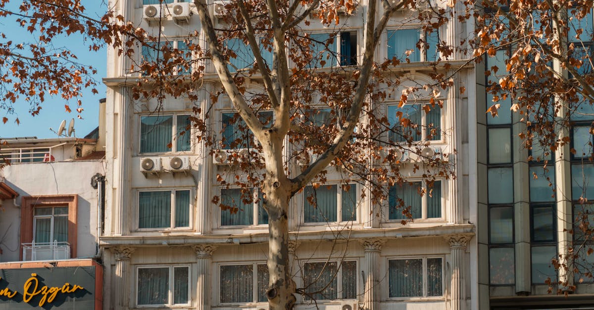 découvrez les stratégies et les solutions innovantes pour s'adapter aux changements climatiques. notre guide sur l'adaptation au climat explore les mesures pratiques à mettre en œuvre pour protéger les écosystèmes, renforcer la résilience des communautés et garantir un avenir durable face à un environnement en évolution.