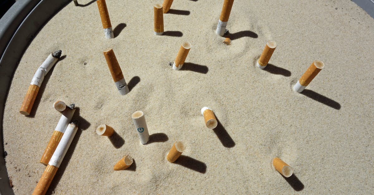 découvrez l'importance de l'évaluation des déchets, une démarche essentielle pour optimiser la gestion des ressources et promouvoir le recyclage. apprenez comment valoriser vos déchets de manière efficace et durable.