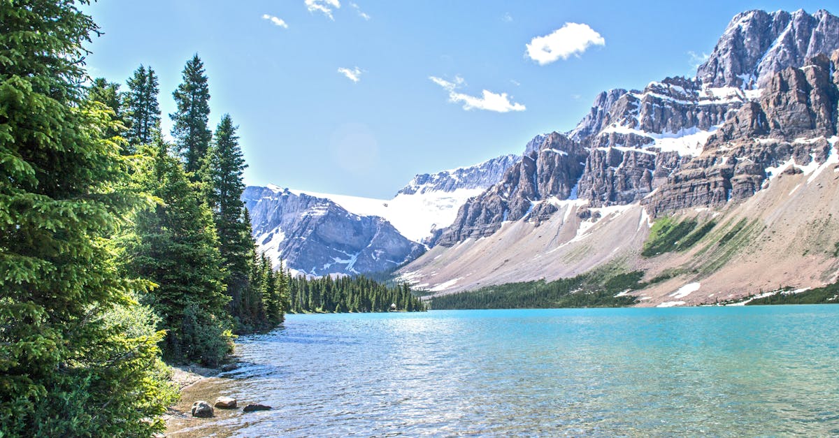découvrez les enjeux du climat, les impacts des changements climatiques et les solutions durables pour préserver notre planète. informez-vous sur les mouvements écologiques et les initiatives visant à lutter contre le réchauffement climatique.