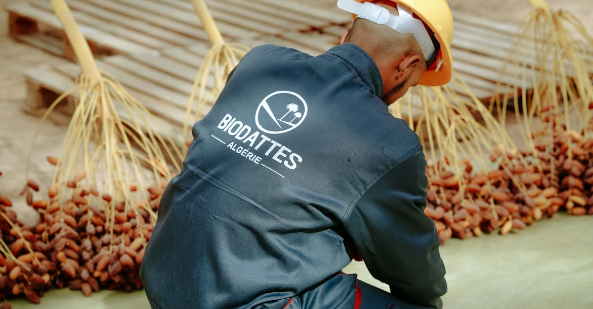 découvrez comment les stratégies d'adaptation au changement climatique peuvent aider les communautés à faire face aux défis environnementaux, économiques et sociaux. apprenez-en plus sur les initiatives innovantes et les solutions durables pour un avenir résilient.