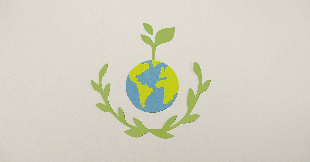 découvrez l'importance de la sensibilisation au climat pour un avenir durable. informez-vous sur les enjeux environnementaux, les actions à entreprendre et comment chacun peut contribuer à la protection de notre planète.