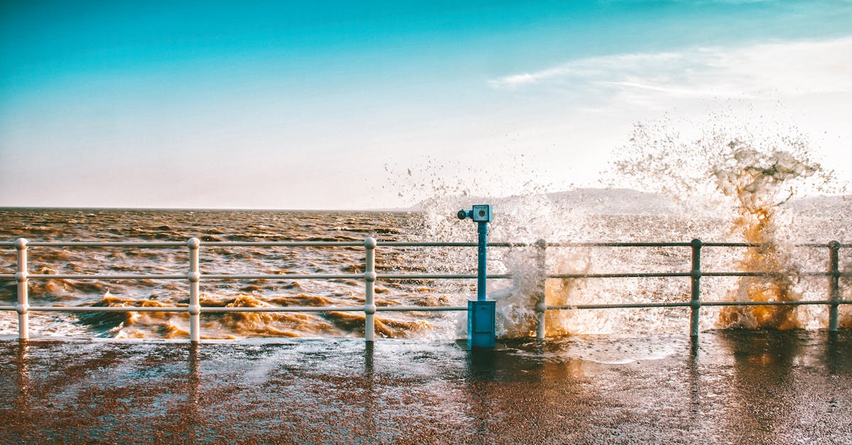 découvrez comment la défense du climat joue un rôle crucial dans la lutte contre le changement climatique. explorez des initiatives, des stratégies et des actions visant à protéger notre planète et à garantir un avenir durable pour les générations futures.