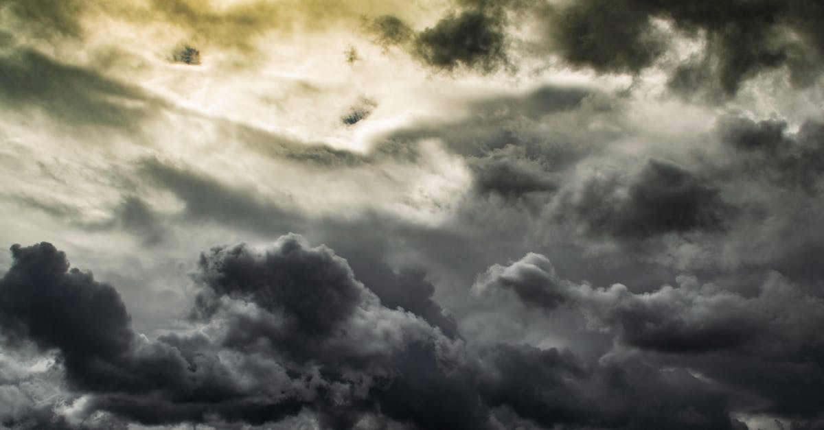 découvrez nos prévisions climatiques précises et à jour. restez informé des tendances météorologiques futures et de leurs impacts sur notre planète. anticipez les changements climatiques et adaptez-vous pour un avenir durable.