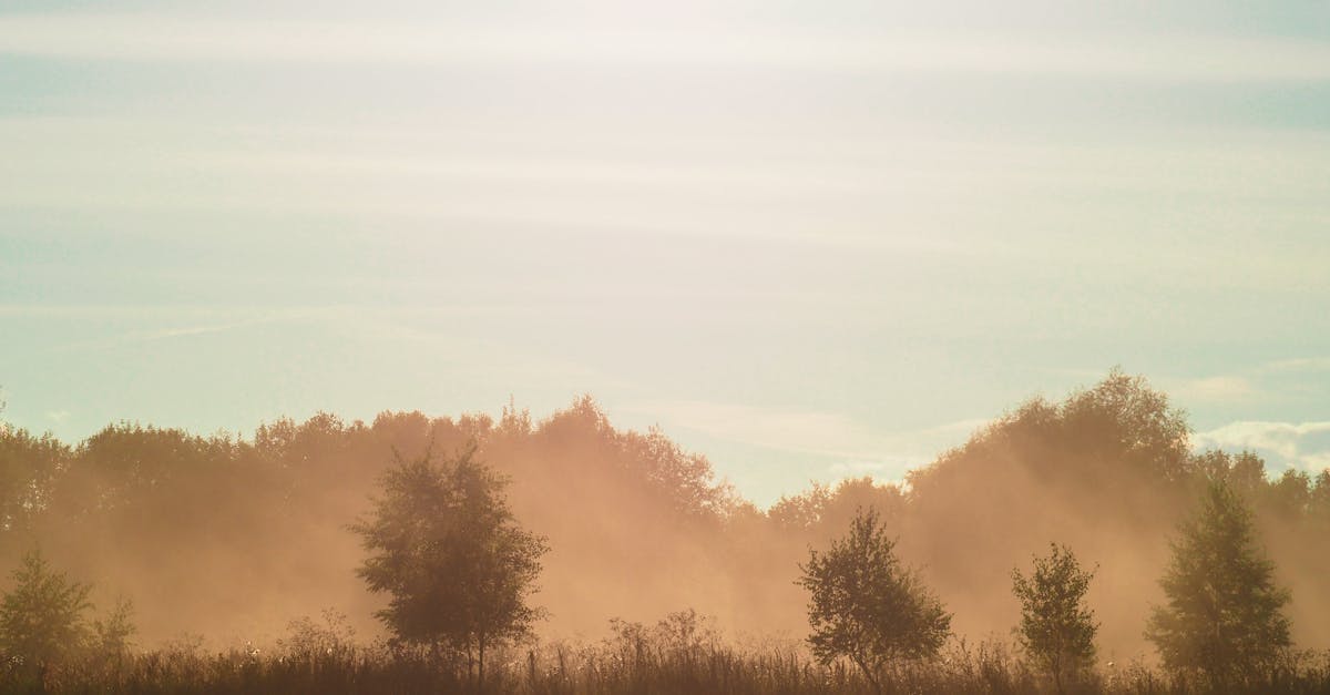 découvrez les enjeux de la gouvernance climatique, un ensemble de stratégies et de politiques visant à lutter contre le changement climatique et à promouvoir un développement durable. explorez les rôles des gouvernements, des entreprises et des citoyens dans cette dynamique mondiale cruciale.