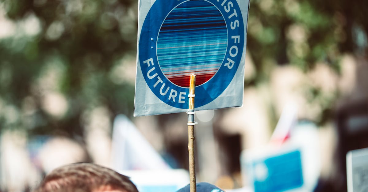 découvrez comment la justice climatique œuvre pour un avenir équitable, en luttant contre les inégalités sociales et environnementales causées par le changement climatique. explorez les initiatives, les actions citoyennes et les politiques qui visent à garantir les droits de tous face aux défis environnementaux.