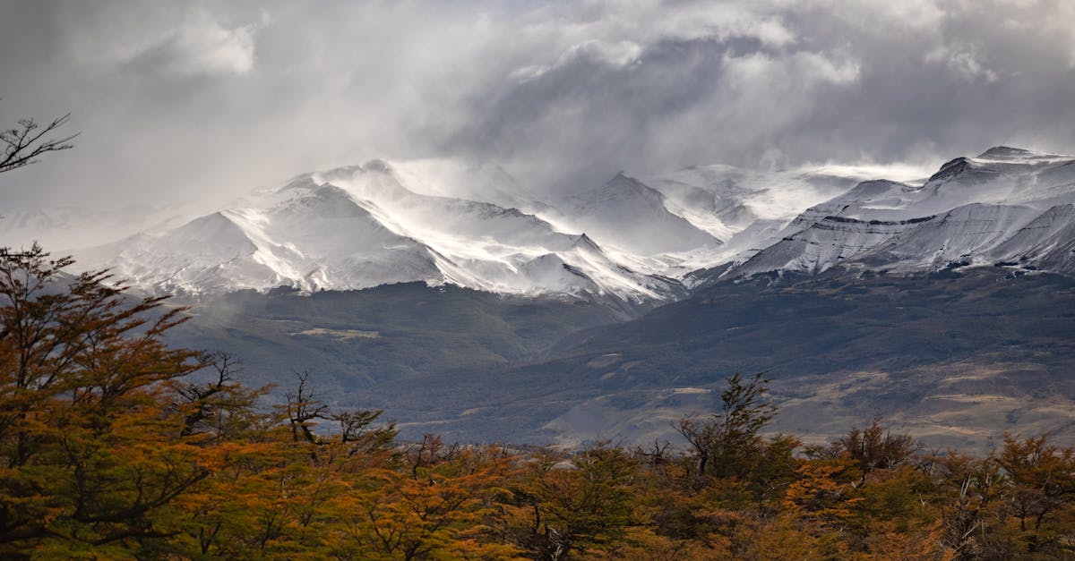 découvrez la législation climatique : ses enjeux, son impact sur l'environnement et les mesures prises pour combattre le changement climatique. informez-vous sur les politiques mises en œuvre pour un avenir durable.