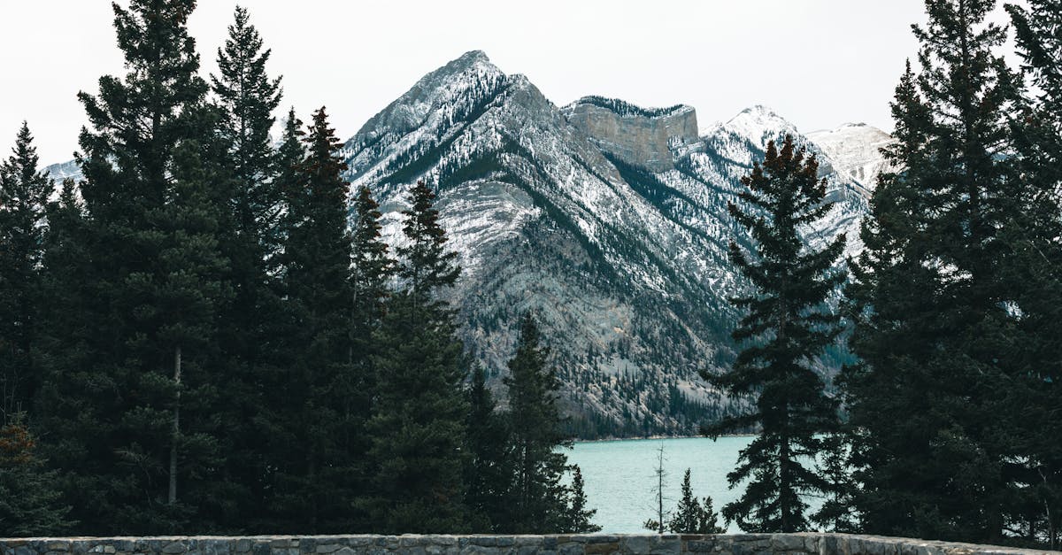 découvrez l'importance de la modélisation climatique pour comprendre les changements environnementaux. explorez les méthodes et technologies utilisées pour prédire l'avenir de notre planète et les impacts du changement climatique sur notre société.
