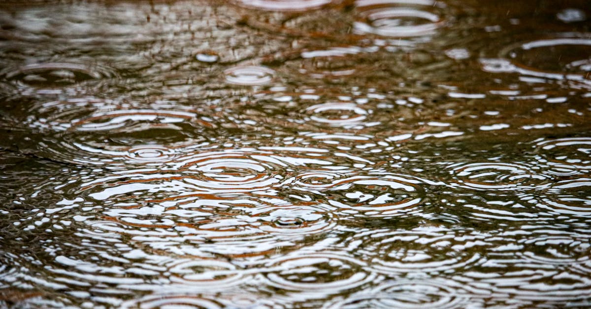 découvrez l'importance d'une évaluation des besoins climatiques pour mieux comprendre les impacts du changement climatique et adapter les politiques environnementales. cette approche permet d'identifier les vulnérabilités et de mettre en place des stratégies efficaces pour protéger notre planète et nos communautés.