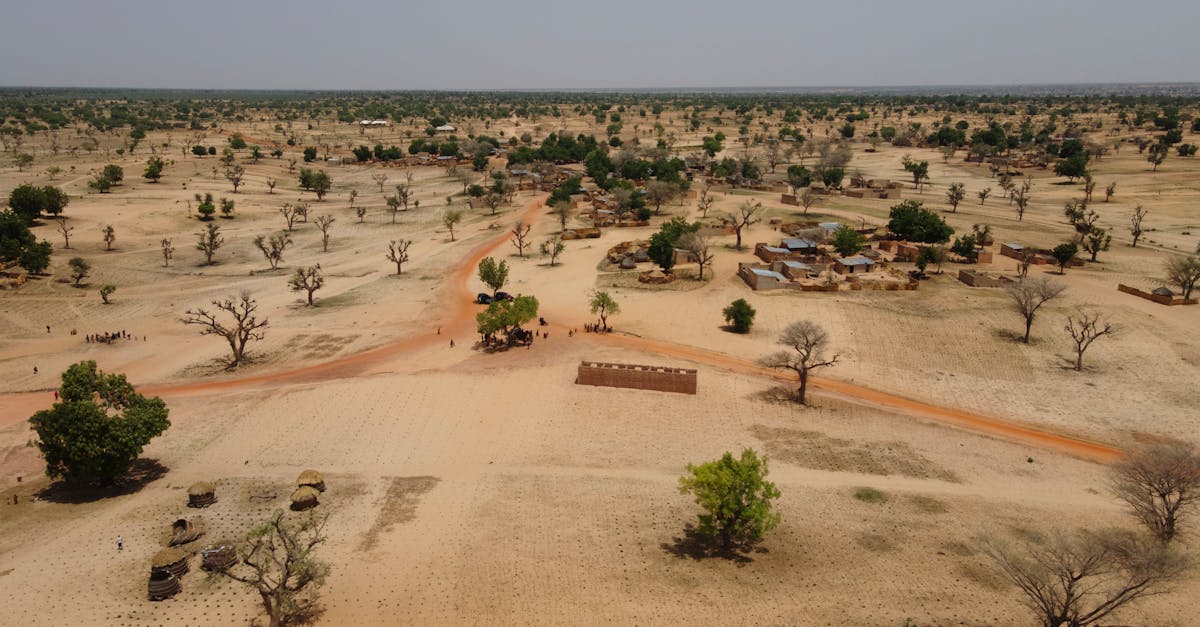évaluez les besoins climatiques de votre région grâce à une analyse approfondie. découvrez comment identifier les enjeux environnementaux, sociaux et économiques pour élaborer des stratégies durables et adaptées à votre contexte. agissez dès maintenant pour un avenir plus résilient face aux défis climatiques.