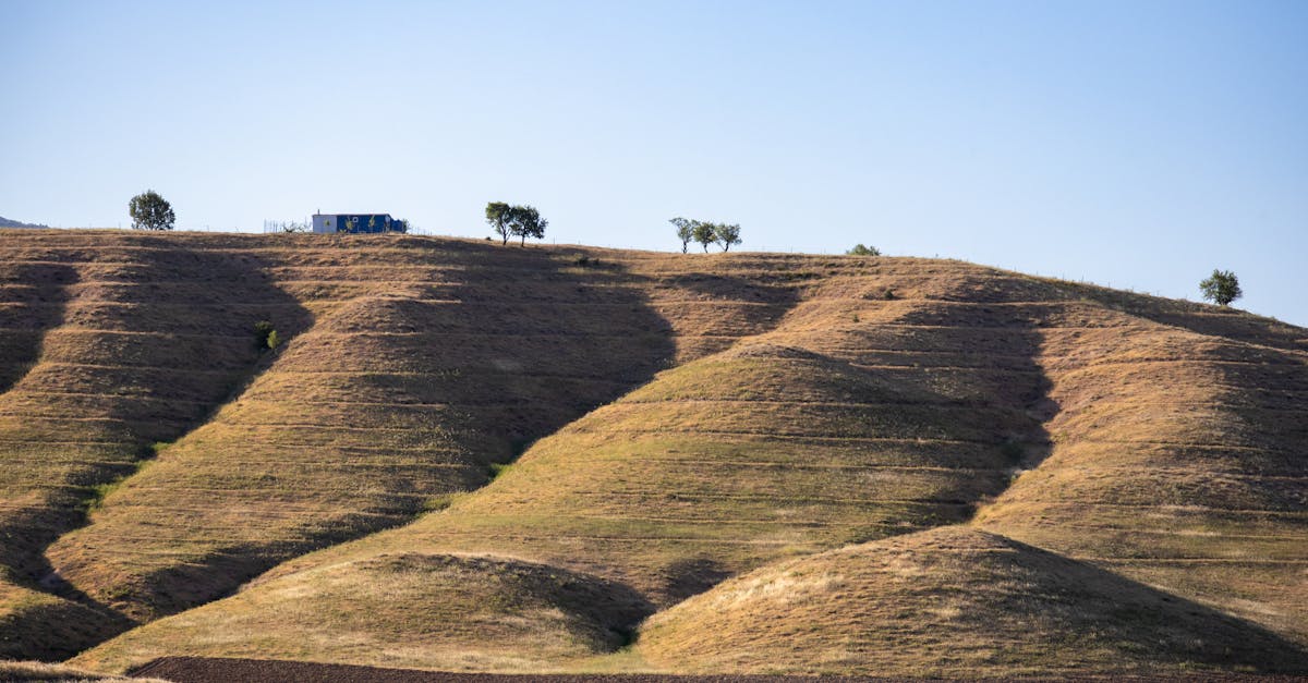 découvrez l'évaluation des besoins climatiques, un processus essentiel pour identifier les impacts du changement climatique sur notre environnement et développer des solutions durables. améliorez votre compréhension des défis climatiques et engagez-vous dans des actions concrètes pour un avenir responsable.