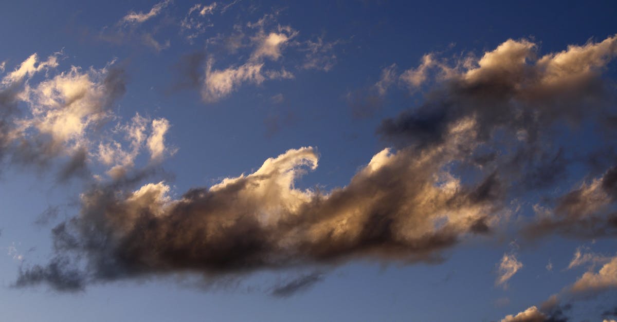 découvrez les enjeux et les stratégies des politiques climatiques qui façonnent notre avenir. analysez les mesures prises par les gouvernements et les organisations pour lutter contre le changement climatique et promouvoir un développement durable.
