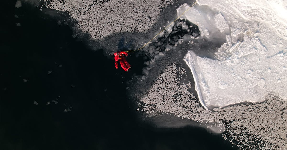 découvrez les dernières avancées et analyses dans la recherche climatique, explorant les impacts du changement climatique sur notre planète et les solutions innovantes pour un avenir durable.