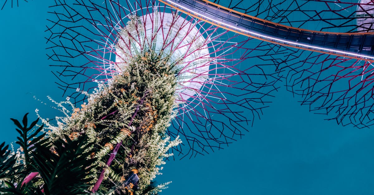 découvrez l'ingénierie écologique, une discipline innovante qui utilise des principes environnementaux pour concevoir des solutions durables. explorez comment cette approche favorise la restauration des écosystèmes, la gestion des ressources naturelles et la lutte contre les changements climatiques, tout en intégrant des techniques modernes et des pratiques respectueuses de l'environnement.