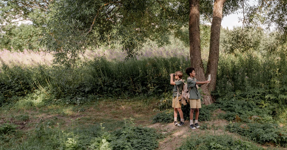 découvrez l'importance de l'éducation environnementale pour sensibiliser les générations futures à la protection de notre planète. explorez des ressources, des activités et des initiatives visant à promouvoir un comportement éco-responsable.