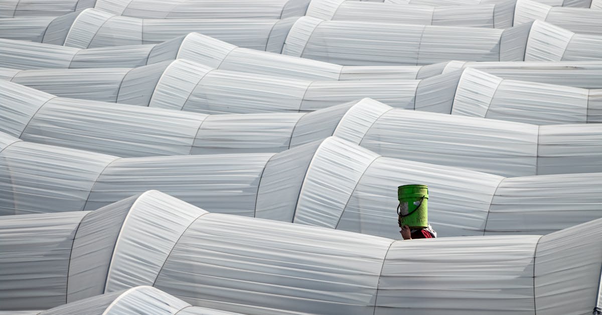 découvrez notre politique environnementale engagée, axée sur la durabilité et la protection de notre planète. apprenez comment nous intégrons des pratiques écologiques dans nos opérations pour minimiser notre impact environnemental.