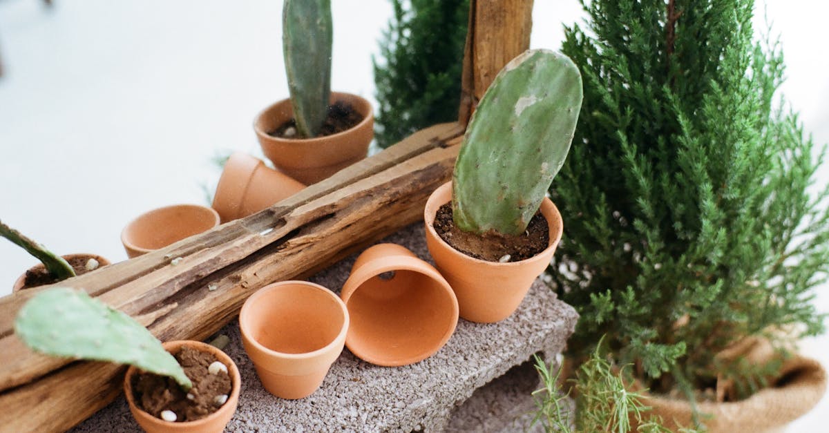 découvrez notre politique environnementale qui vise à promouvoir des pratiques durables, réduire notre empreinte écologique et protéger la biodiversité. engagez-vous avec nous pour un avenir plus vert et responsable.