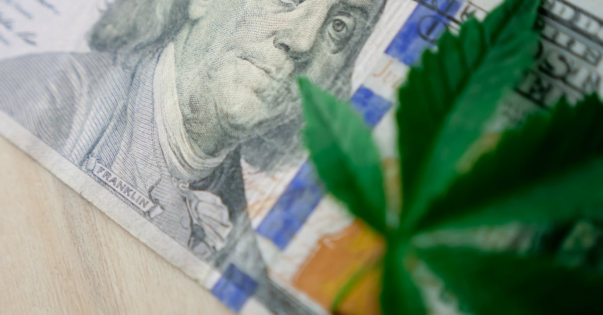 découvrez le financement vert, une approche innovante qui favorise des investissements durables et respectueux de l'environnement. apprenez comment les entreprises et les particuliers peuvent contribuer à la transition énergétique tout en réalisant des profits.