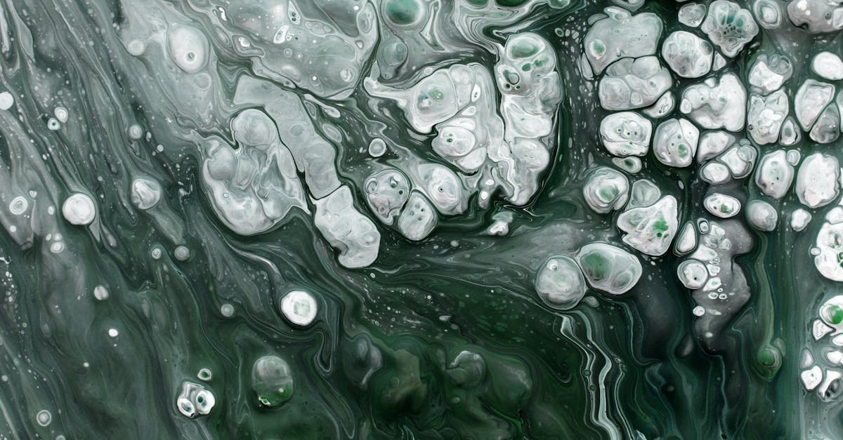 découvrez les politiques écologiques qui favorisent un avenir durable. explorez les initiatives et stratégies mises en place pour protéger l'environnement tout en soutenant l'économie verte.