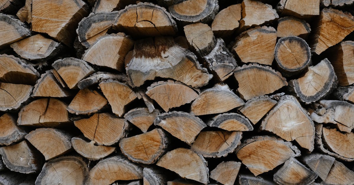 découvrez les ressources non renouvelables, leur impact sur l'environnement et les alternatives durables. apprenez comment la dépendance à ces ressources affecte notre planète et explorez des solutions pour un avenir plus vert.