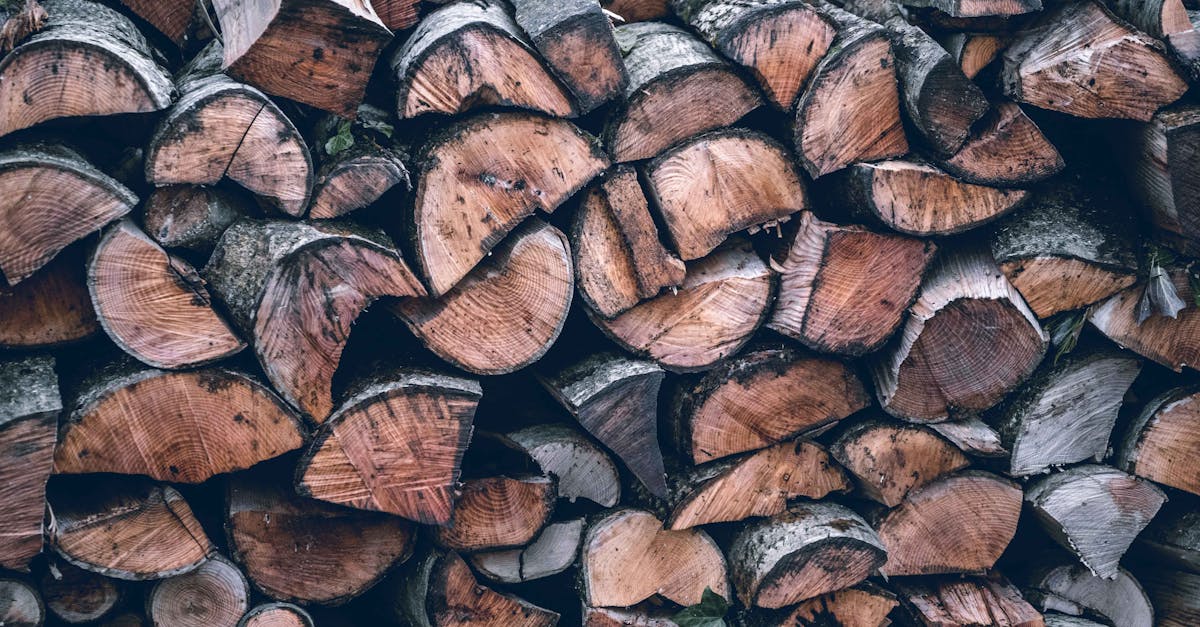 découvrez les ressources non renouvelables, leur impact sur l'environnement et les défis liés à leur exploitation. apprenez comment la dépendance à ces ressources affecte notre avenir et quelles alternatives peuvent être envisagées pour un développement durable.