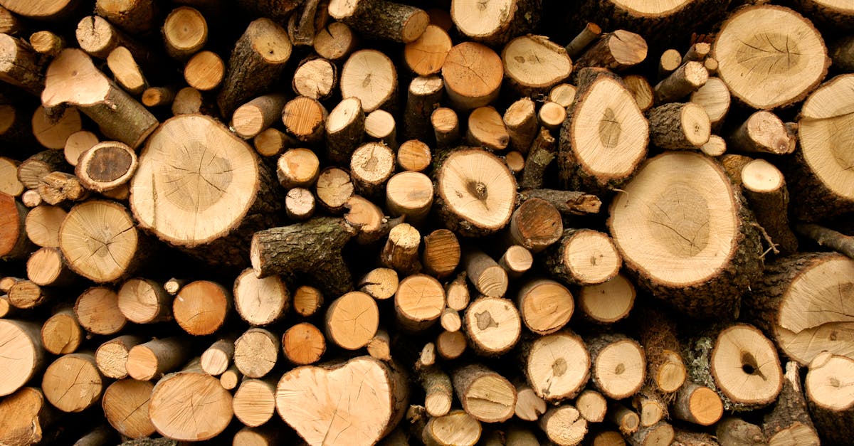 découvrez les ressources non renouvelables, leur impact sur l'environnement et l'économie, ainsi que les défis associés à leur utilisation durable. apprenez comment ces ressources, telles que le pétrole, le charbon et le gaz naturel, façonnent notre avenir énergétique.