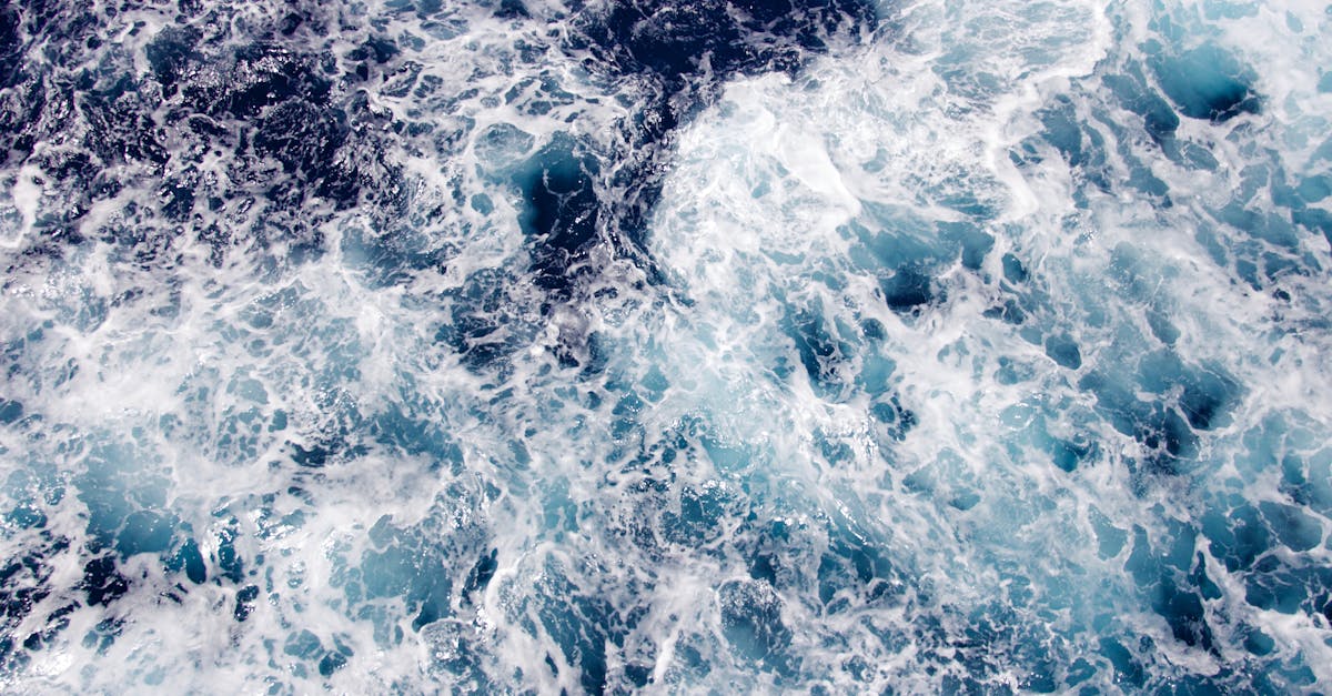 découvrez la fascinante beauté de l'océan, un vaste monde de biodiversité et de mystères, où la vie marine prospère et où chaque vague raconte une histoire. plongez dans l'exploration des océans et leurs merveilles inexplorées.