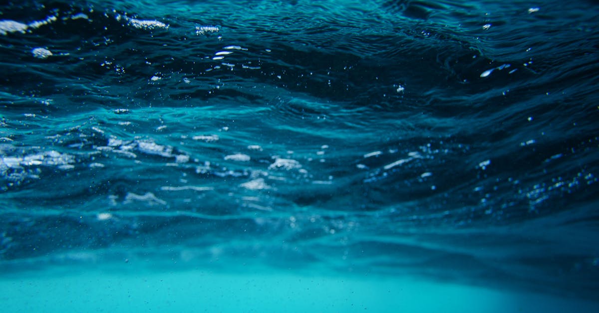 découvrez l'immensité et la beauté de l'océan, un monde fascinant rempli de vie marine, d'écosystèmes diversifiés et de paysages à couper le souffle. explorez les mystères des profondeurs, des plages ensoleillées aux récifs coralliens éclatants.