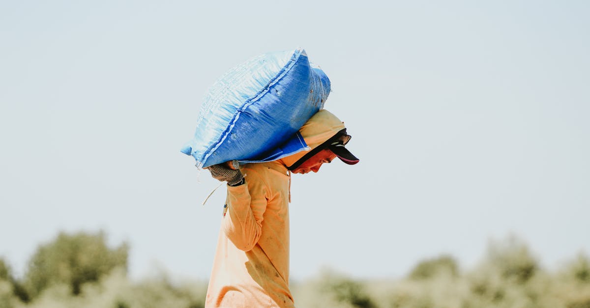 découvrez comment l'agriculture résiliente adapte les pratiques agricoles face aux défis climatiques et environnementaux. apprenez des techniques innovantes pour assurer des récoltes durables et sécuriser l'avenir alimentaire.