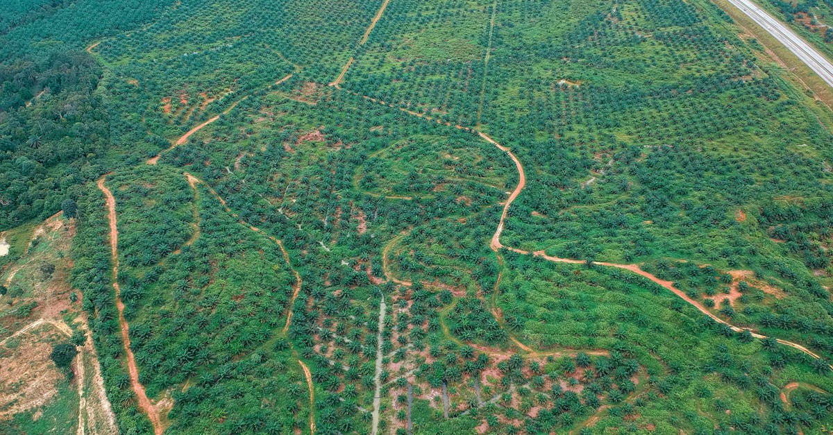 découvrez comment adopter des pratiques durables pour lutter contre le changement climatique et préserver notre planète. rejoignez le mouvement pour un avenir plus vert et équitable.