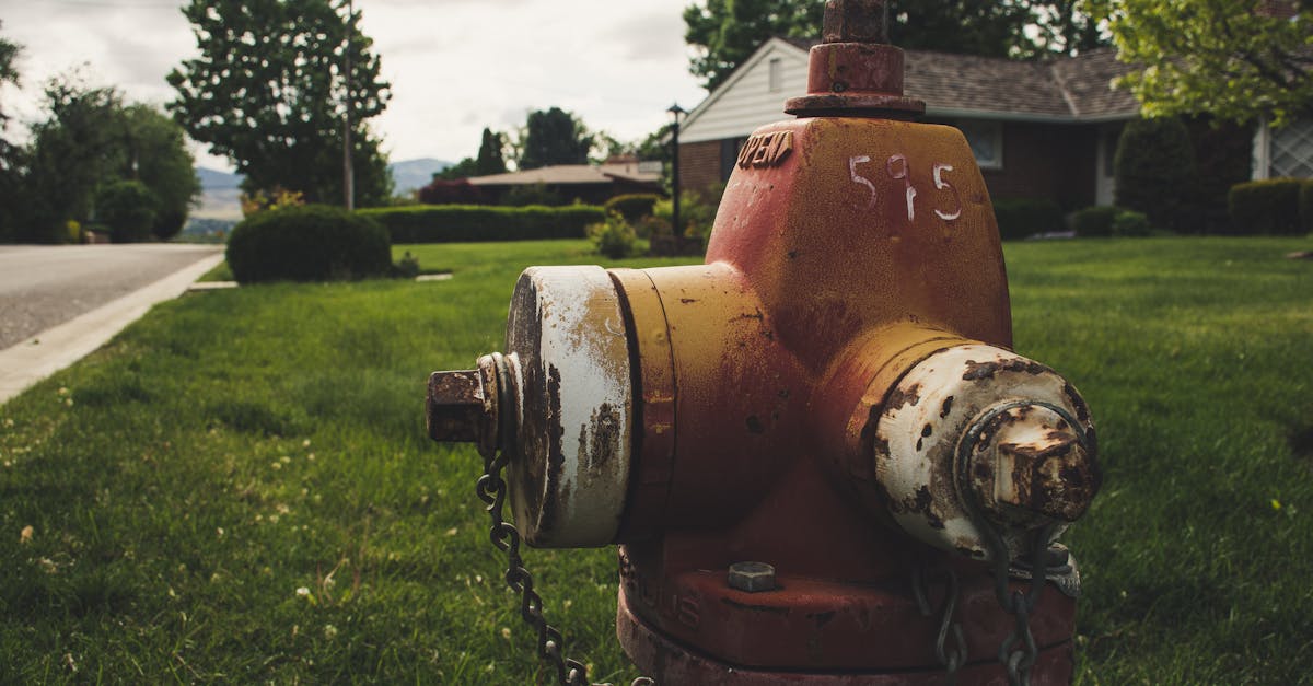 découvrez l'importance de l'approvisionnement en eau, ses enjeux et solutions pour garantir un accès durable à cette ressource essentielle pour la vie et le développement. informez-vous sur les systèmes de distribution, la gestion des ressources hydriques et les innovations en matière de durabilité.