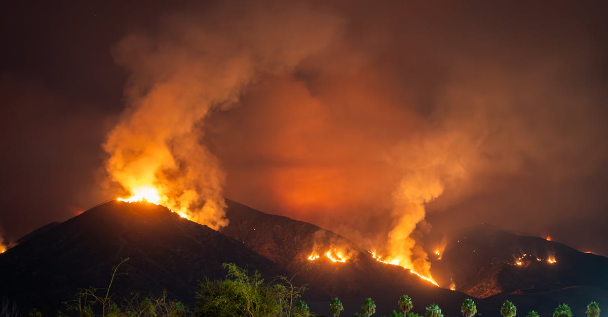 découvrez les enjeux et les conséquences des incendies de forêt, des causes naturelles aux activités humaines. apprenez comment prévenir ces catastrophes écologiques et protéger notre planète.