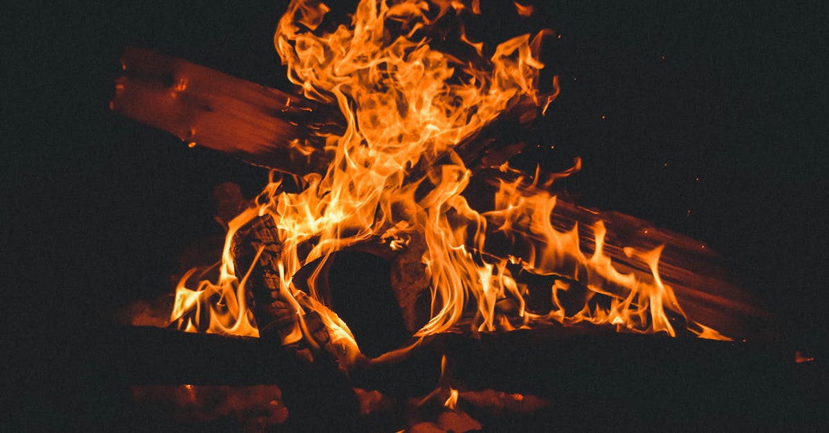 découvrez les causes, les impacts et les mesures de prévention des incendies de forêt, des phénomènes naturels dévastateurs qui menacent la biodiversité et les habitats humains.