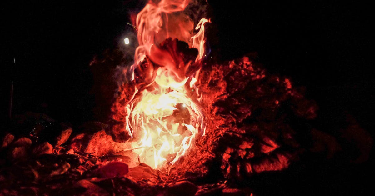 découvrez l'impact dévastateur des incendies de forêt, leurs causes, et les mesures de prévention nécessaires pour protéger notre environnement et nos communautés.