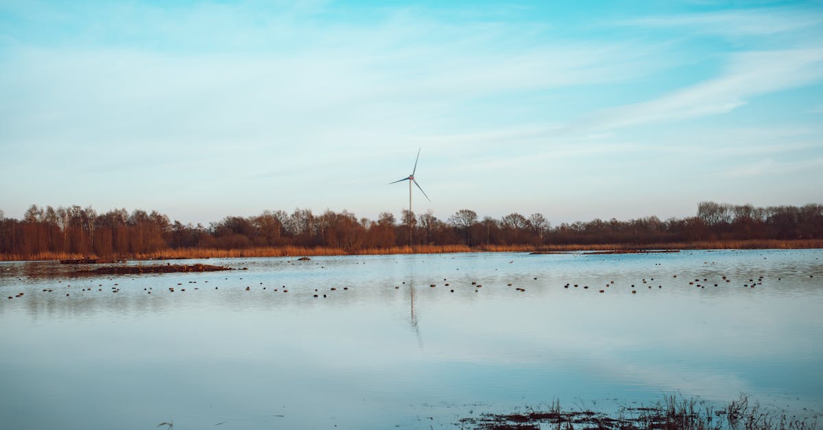 Bioénergie : Comprendre son rôle dans la transition énergétique