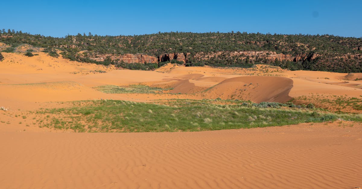 découvrez l'importance des politiques climatiques dans la lutte contre le changement climatique. explorez les initiatives, stratégies et actions mises en place pour réduire l'empreinte carbone et préserver notre planète pour les générations futures.