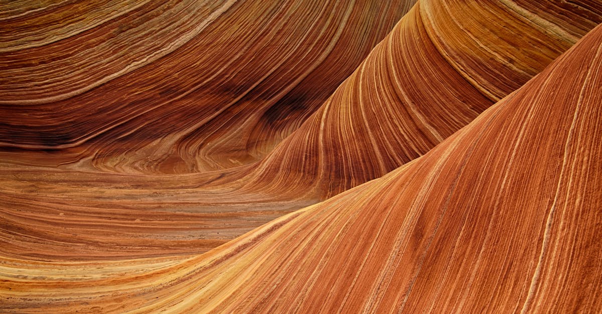 découvrez l'érosion, un phénomène naturel qui façonne notre planète en sculptant les paysages et en modifiant les écosystèmes. explorez ses causes, ses conséquences et les solutions pour atténuer ses effets dévastateurs.