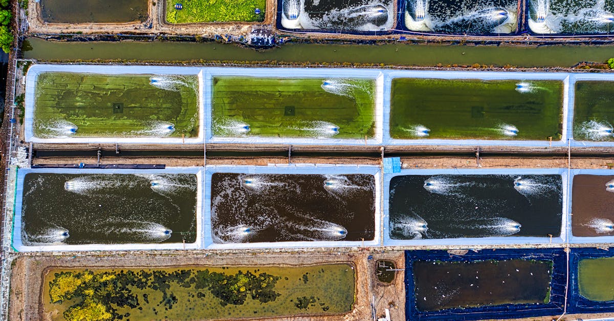 Planification des ressources naturelles : stratégies durables pour l’avenir