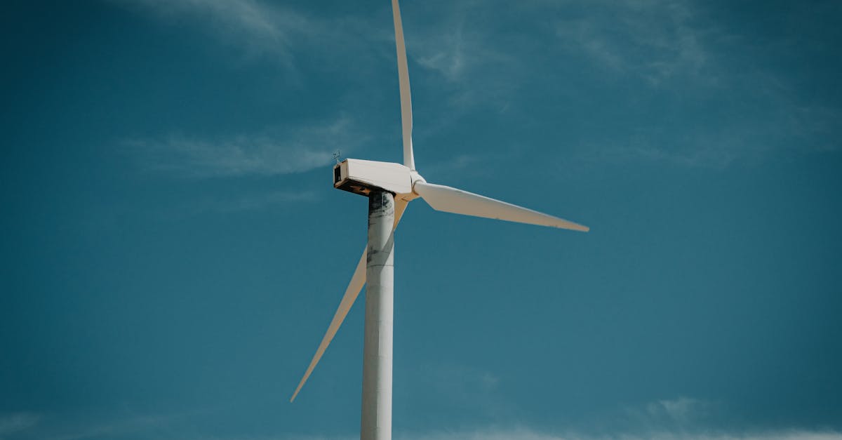 Projets écologiques : des solutions innovantes pour un avenir durable