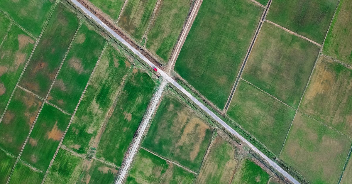 Surveillance écologique et perspectives de développement durable pour le 29 avril 2025