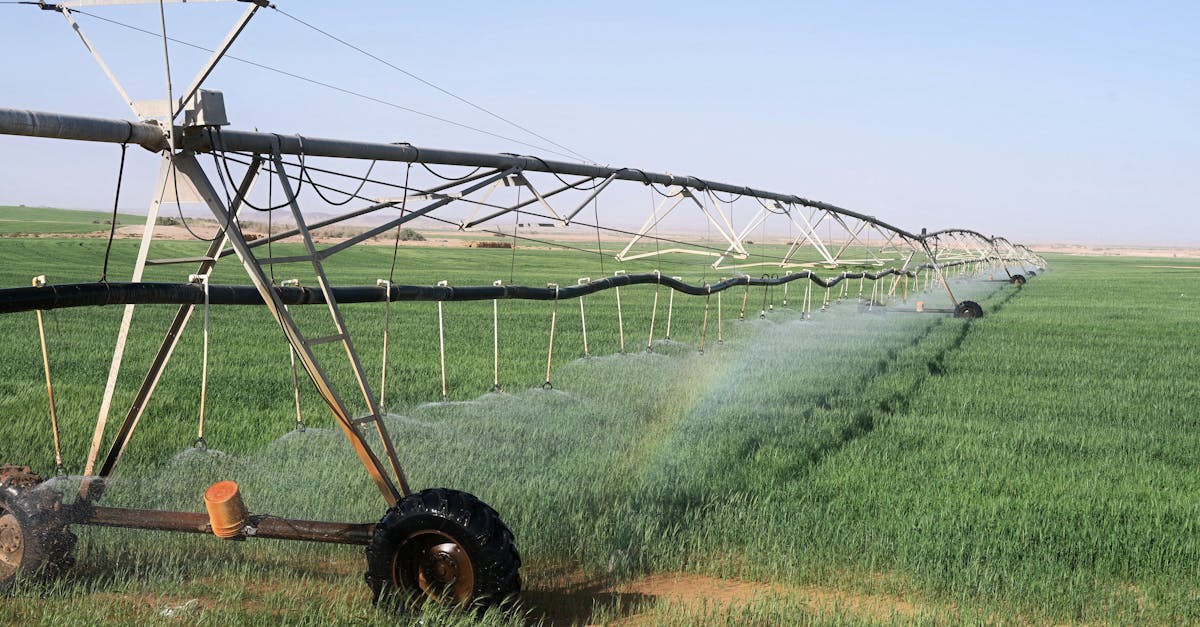 découvrez les stratégies et solutions innovantes pour s'adapter aux impacts du changement climatique. apprenez comment les communautés, les entreprises et les gouvernements peuvent se préparer et protéger l'environnement tout en garantissant un avenir durable.