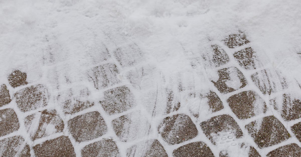 découvrez comment le design climatique façonne notre environnement et nos modes de vie. explorez des stratégies innovantes et durables pour créer des espaces qui respectent l'équilibre naturel et favorisent le bien-être.