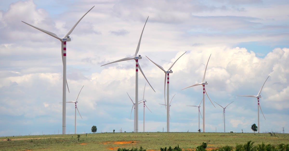 découvrez les politiques climatiques qui façonnent notre avenir. analyse des initiatives, stratégies et engagements internationaux visant à lutter contre le changement climatique et à promouvoir la durabilité. explorez comment ces mesures impactent notre environnement et nos sociétés.
