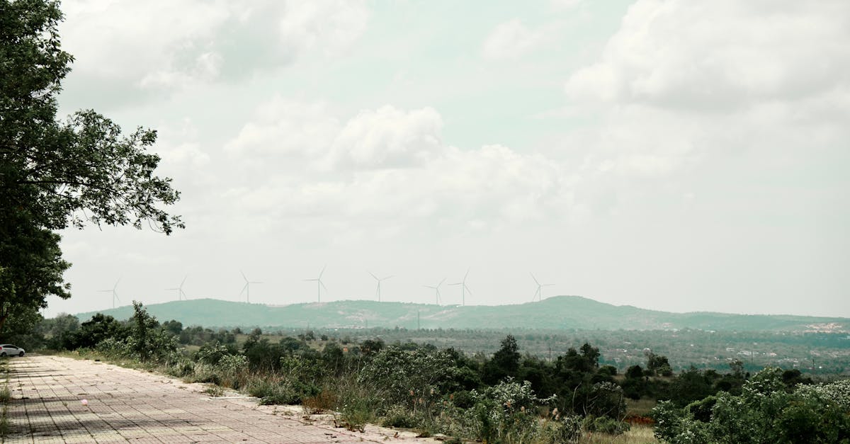 découvrez nos analyses approfondies sur les politiques climatiques mondiales. apprenez comment les gouvernements et les organisations s'engagent à lutter contre le changement climatique, à promouvoir des pratiques durables et à protéger notre planète pour les générations futures.